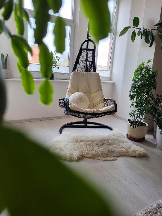 Cozy 2 Room Apartment In The Oldtown Of Klaipeda Exterior photo